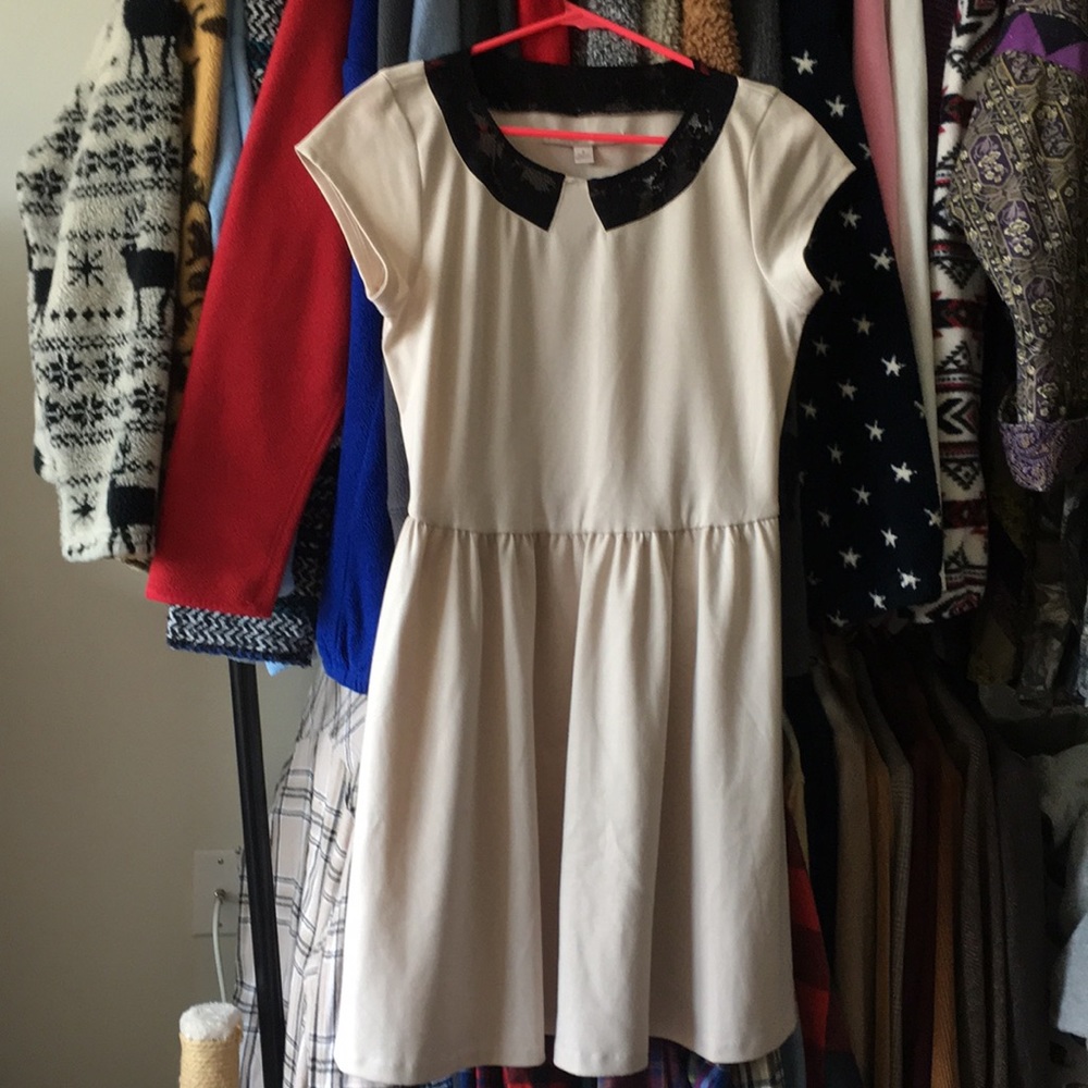 LC Lauren Conrad Lace Collar Dress